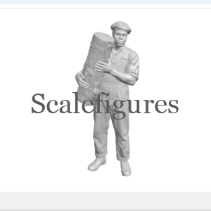 F02 - Worker carrying log
