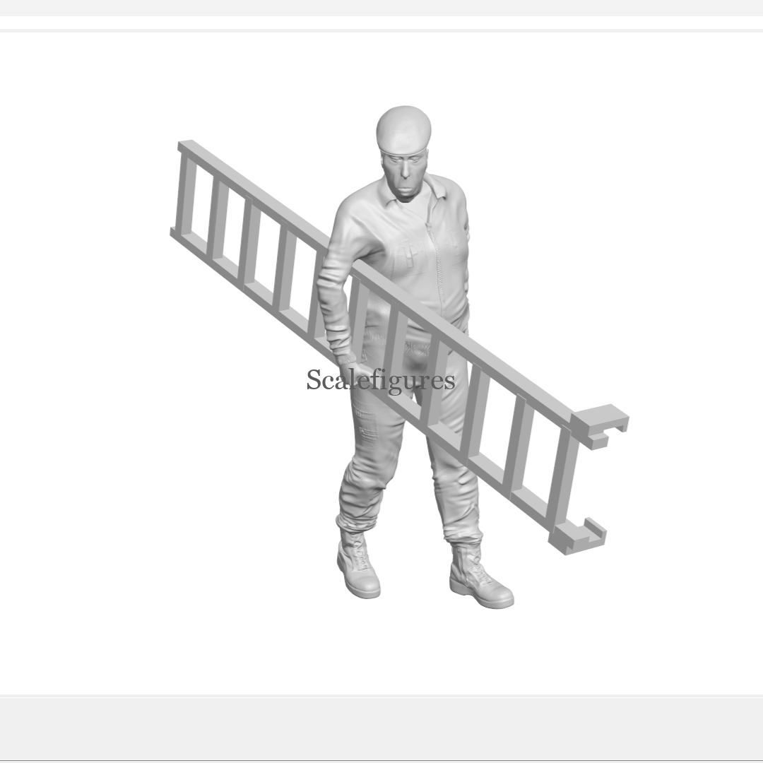 F95 - Worker walking with ladder